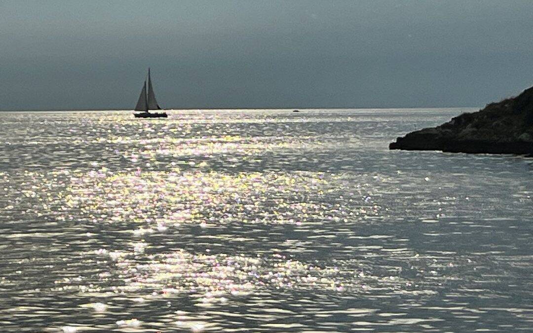 Magie am Meer – Von Buzet nach Vrsar