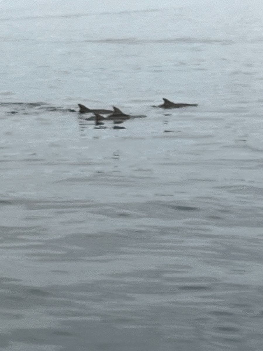 von Buzet nach Vrsar