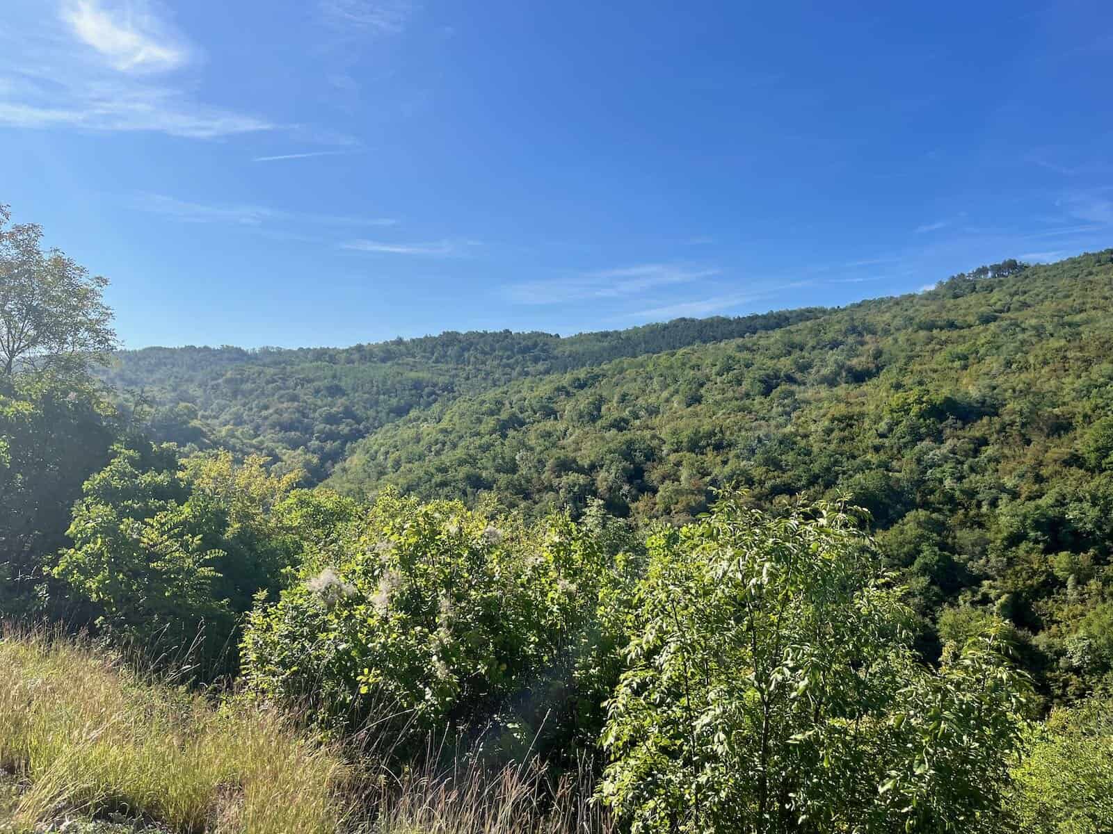 von Buzet nach Vrsar