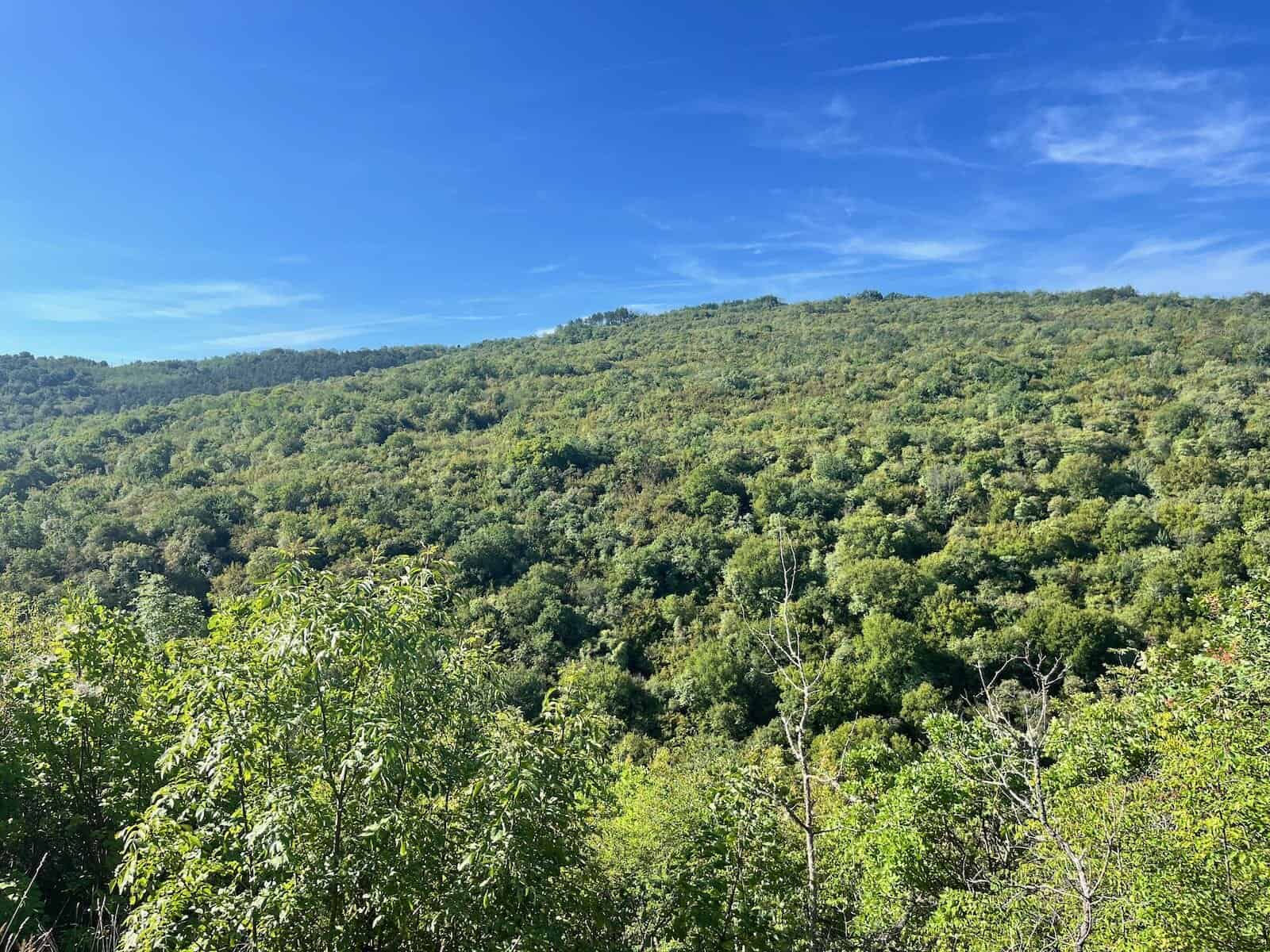 von Buzet nach Vrsar