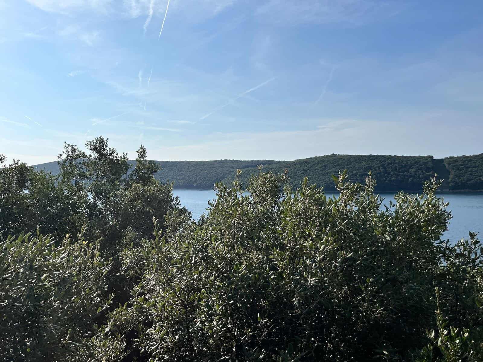 von Vrsar nach Banjole