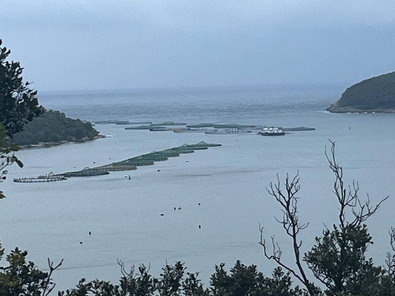 von Banjole nach Krnica