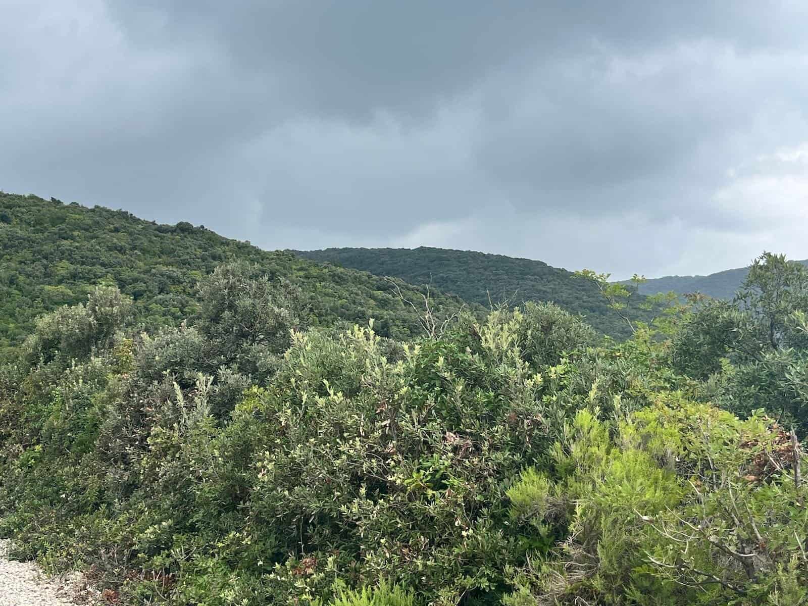 von Banjole nach Krnica