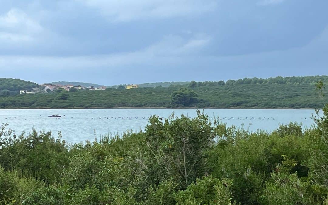 Mit dem Rad nach Kroatien Tag 8: Chaos, Regen & Steilküste