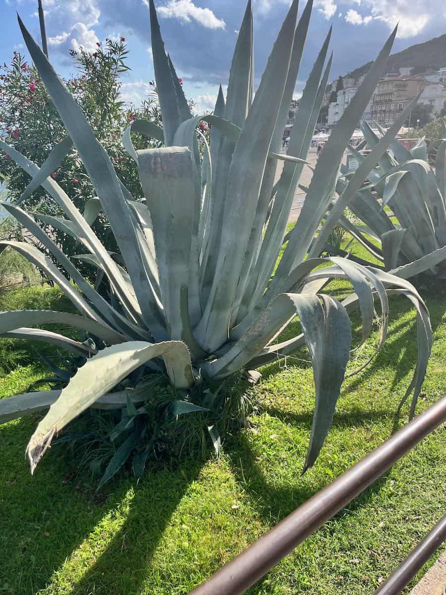 von Krnica nach Opatija