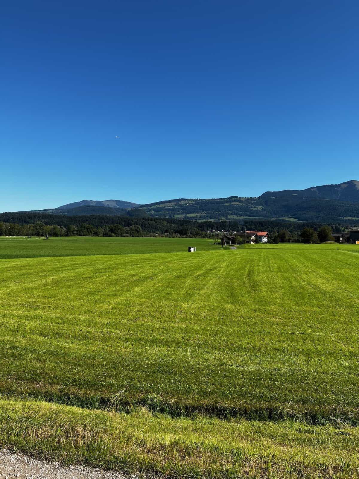 Grüne Wiesen im Salzachtal mit Alpenpanorama an einem sonnigen Tag