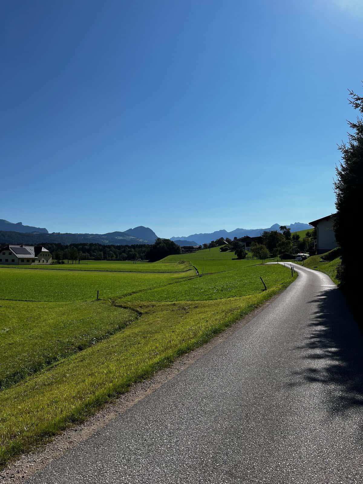 Grüne Wiesen im Salzachtal mit Alpenpanorama an einem sonnigen Tag