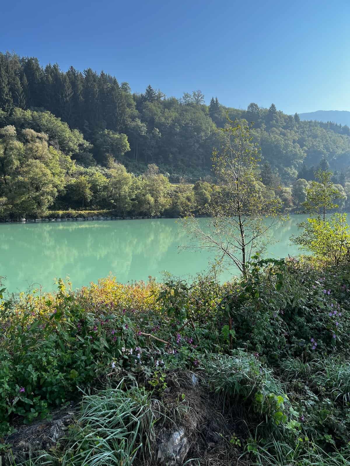 Blick durch Bäume auf die türkisfarbene Drau bei Villach