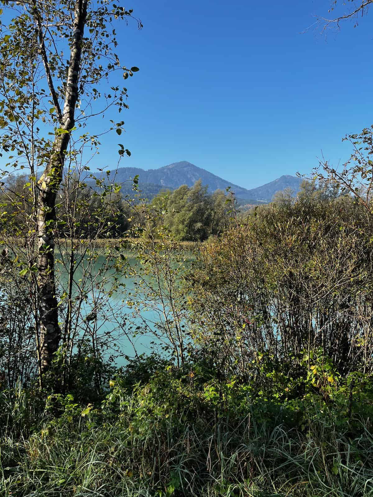 Blick durch Bäume auf die türkisfarbene Drau bei Villach