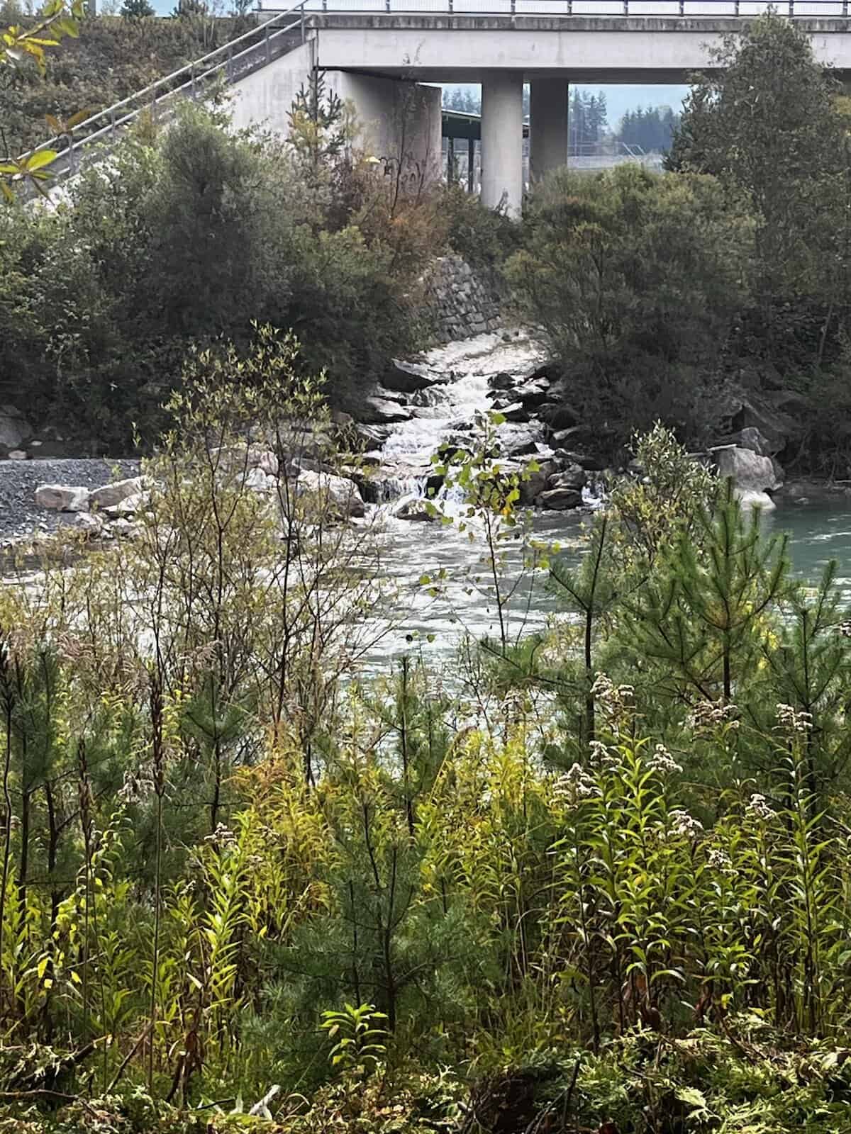 Schmaler Gebirgsfluss zwischen Bäumen in Kärnten, ursprüngliche Natur an der Radroute