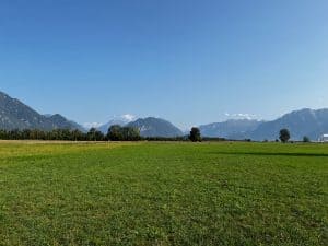 Weite Felder unter blauem Himmel am Alpe Adria Radweg Tag 7, Landschaft wird mediterraner