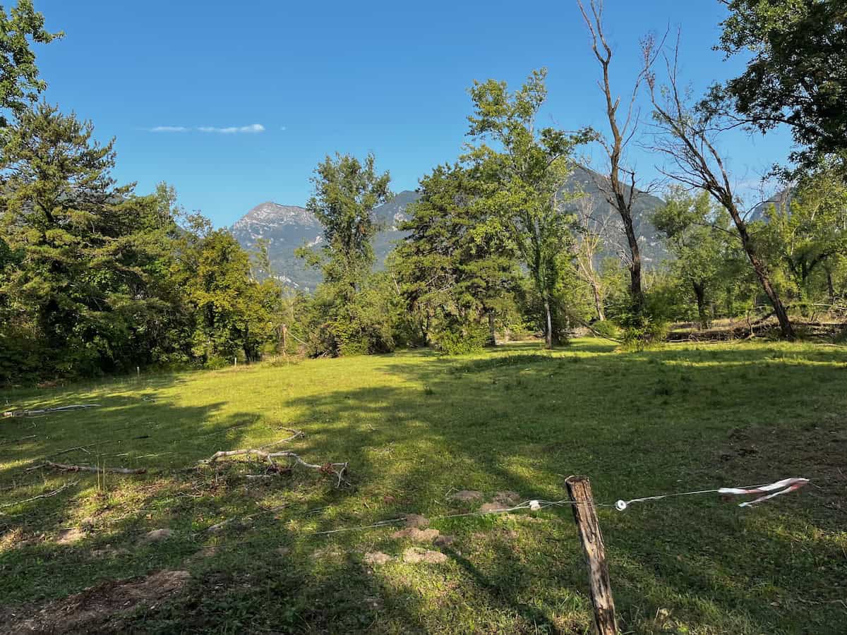 Wiesenlandschaft mit Blick auf die Alpen entlang des Alpe Adria Radwegs auf Tag 7 Richtung Udine