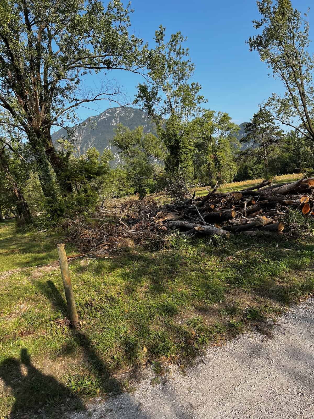 Naturnahe Flusslandschaft mit Bäumen entlang des Alpe Adria Radwegs in Italien