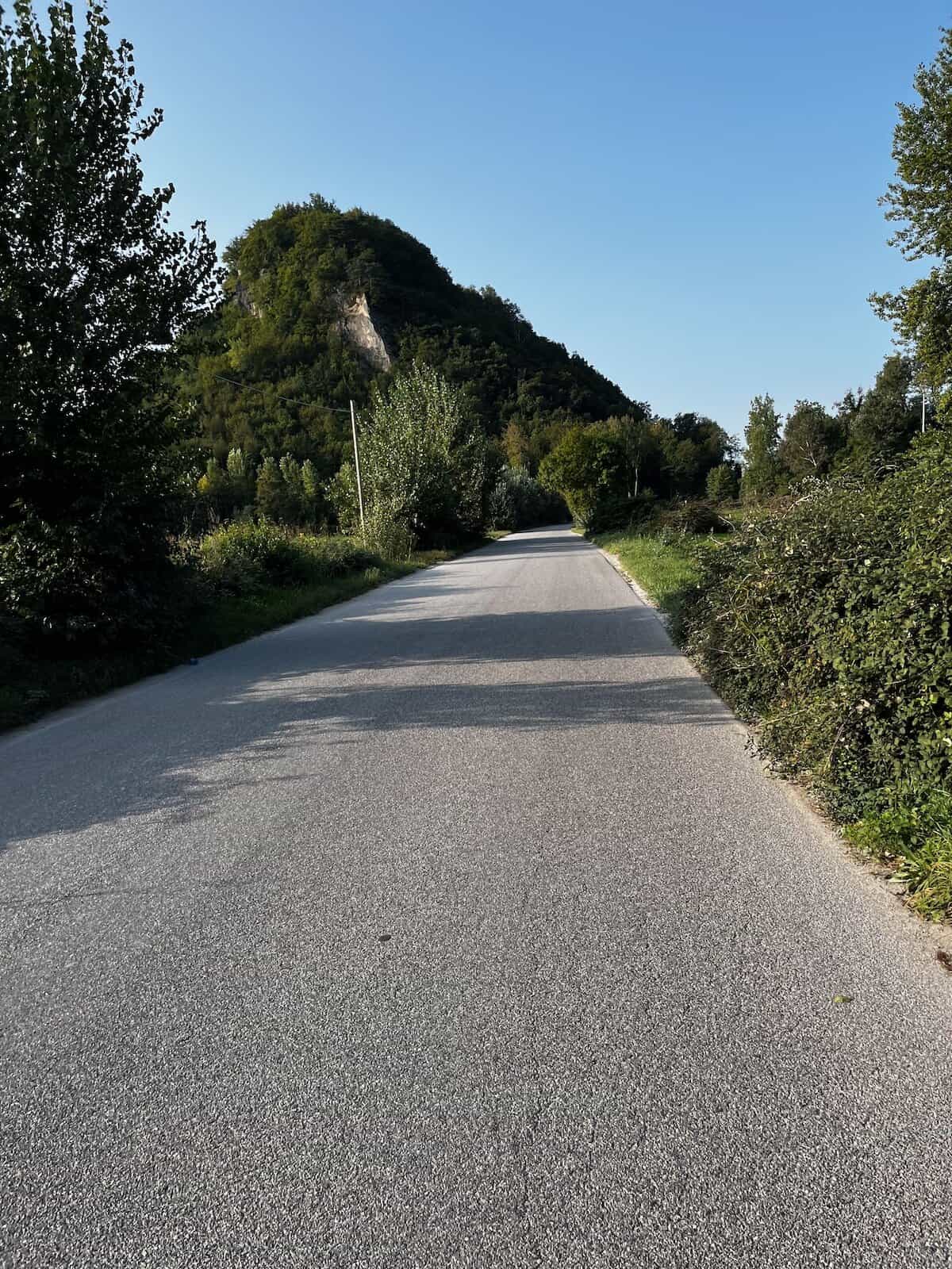 Asphaltierter Radweg zwischen Bäumen, ruhige Passage auf dem Alpe Adria Radweg Tag 7