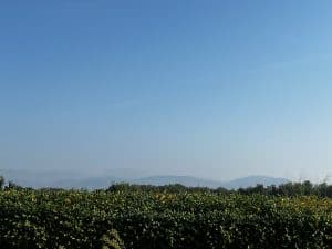 Weite Ebene mit blauem Himmel entlang des Alpe Adria Radwegs Tag 8 auf dem Weg Richtung Meer