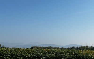 Alpe Adria Radreise Tag 8 – Ankommen am Meer in Grado