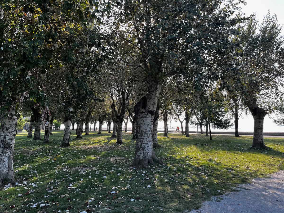 Parkanlage mit schattenspendenden Bäumen in Grado, entspannter Moment nach der Radetappe