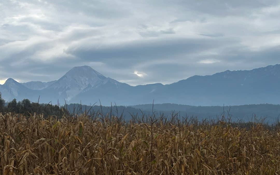 Alpe Adria Radreise Tag 8 – Ankommen am Meer in Grado.