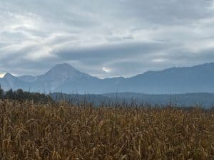 Über die Berge ans Meer | meine Tour über die Alpen