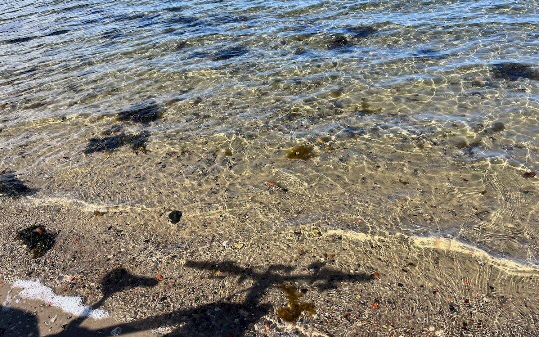 Zwischen Winter und Meer – Ein Sonntag in Großenbrode