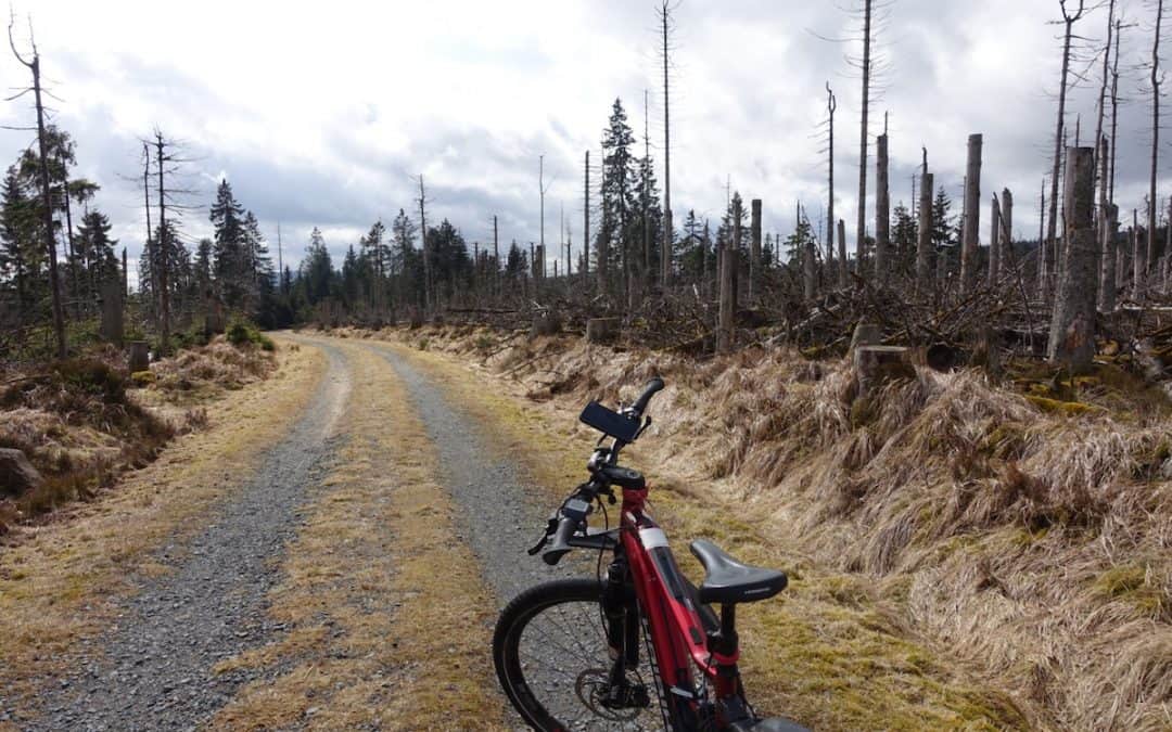 Unterwegs im Harz – Taubenklippe bei Ilsenburg