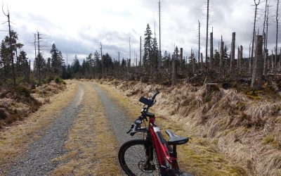 Unterwegs im Harz – Taubenklippe bei Ilsenburg