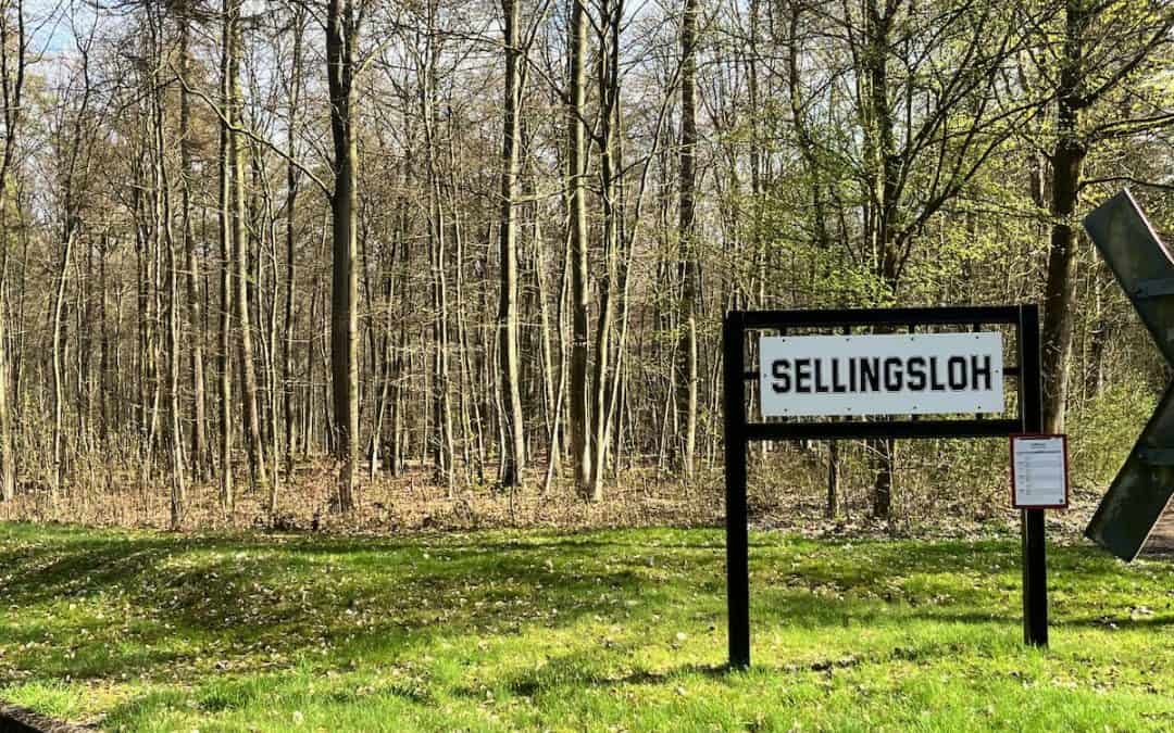 Unterwegs im Sellingsloh – Verlaufen, gefunden, angekommen