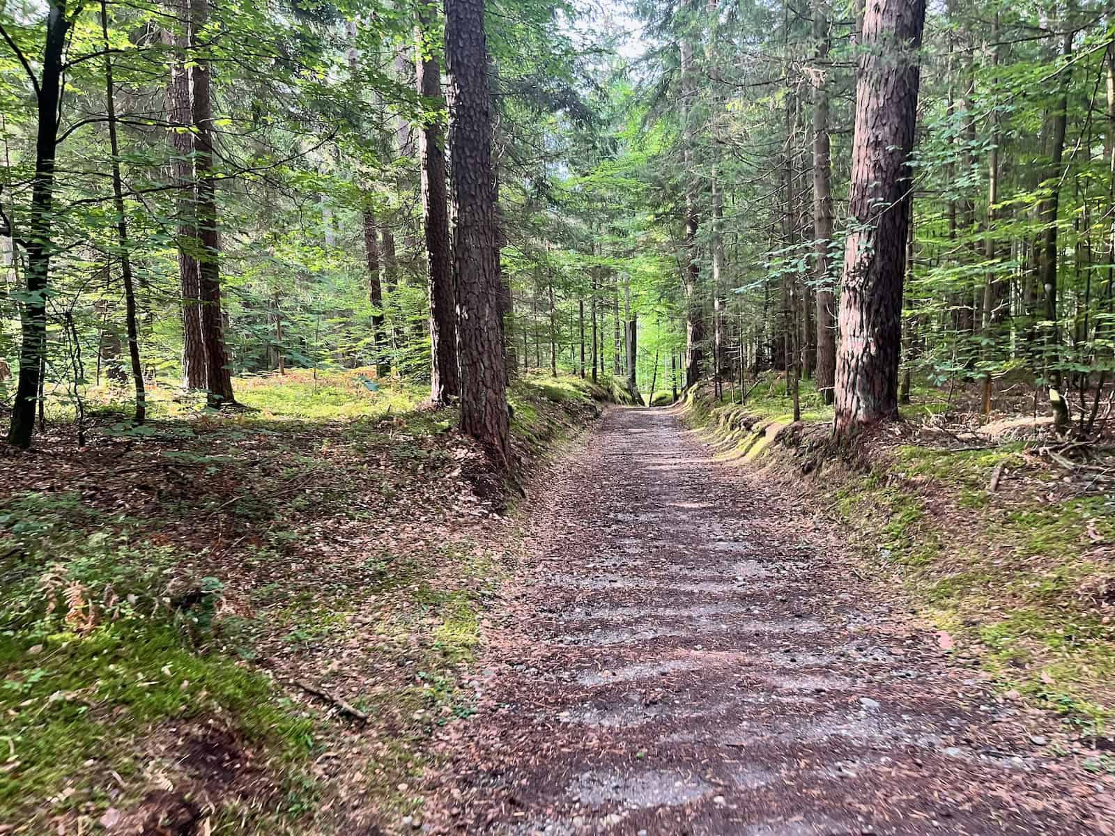 Mit dem Rad nach Kroatien - Tag 1