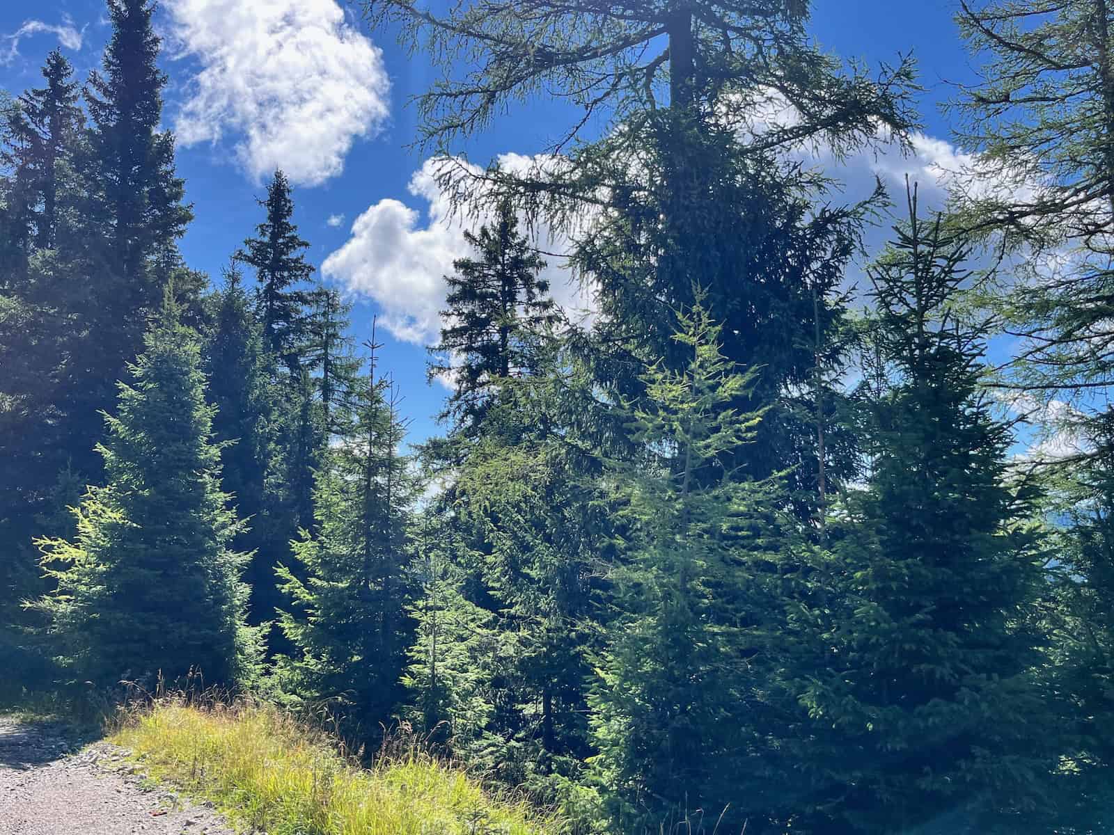 Mit dem Rad nach Kroatien - Tag 1