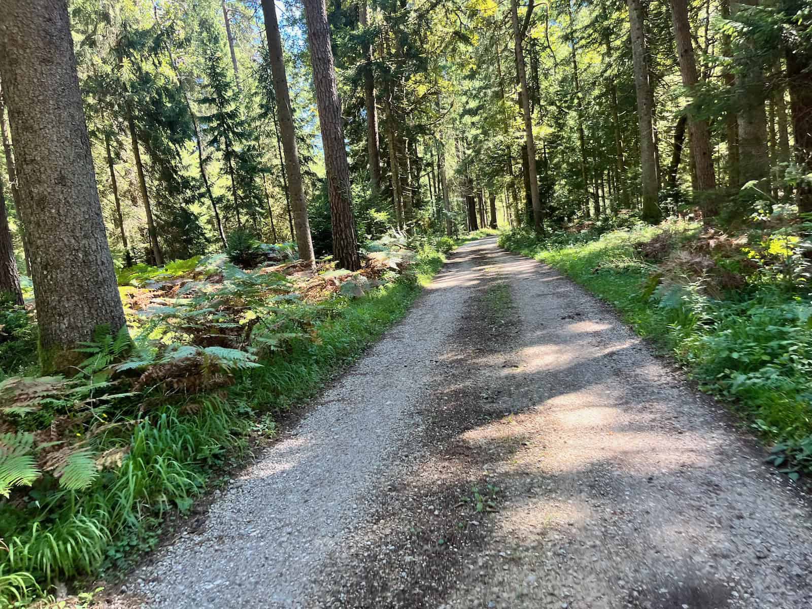 Mit dem Rad nach Kroatien - Tag 2