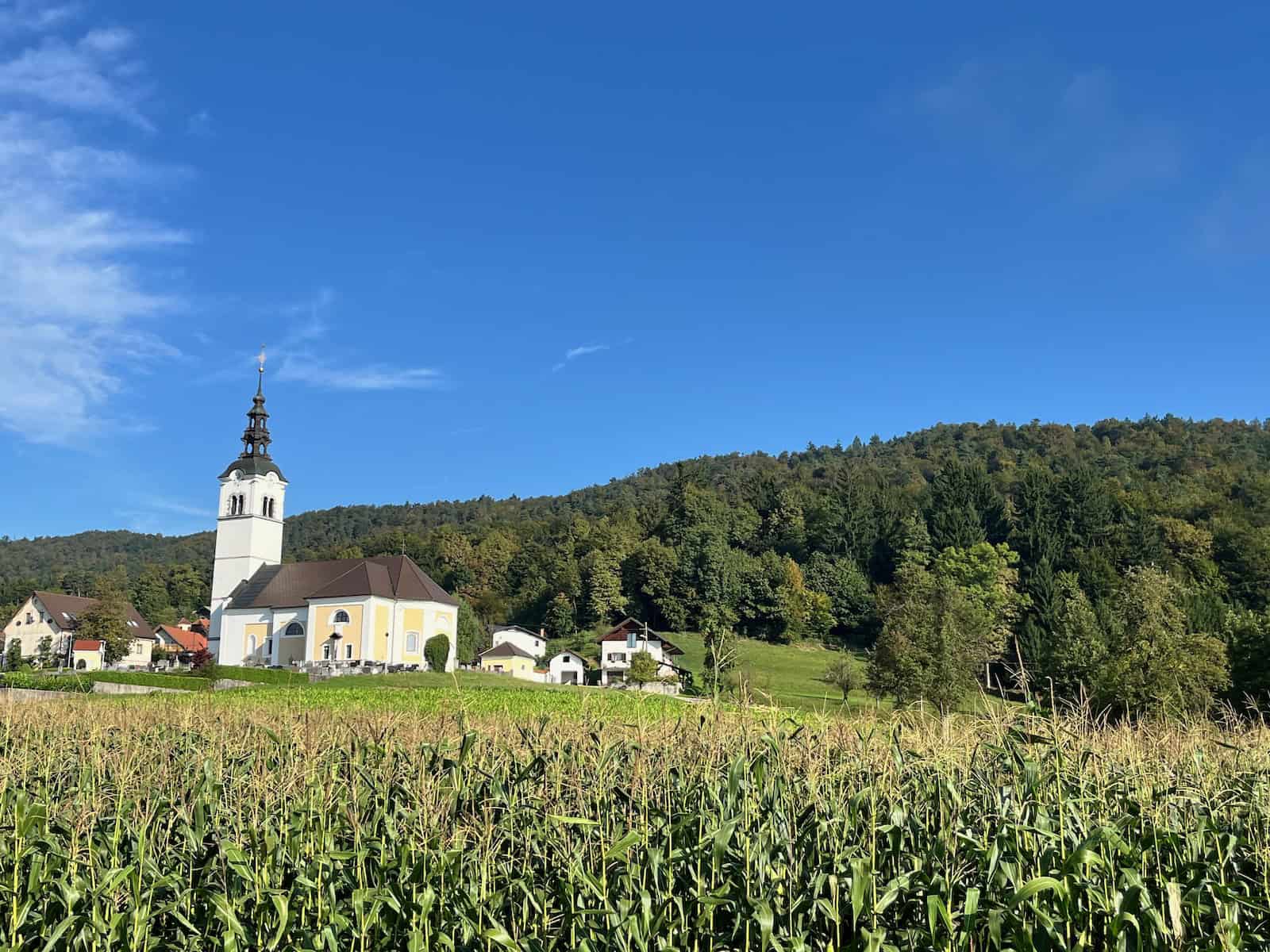 #44_Kroatien 1P2Quer - 1 von 3 Grüner Hang mit steilem Anstieg auf der anspruchsvollen Bergetappe
