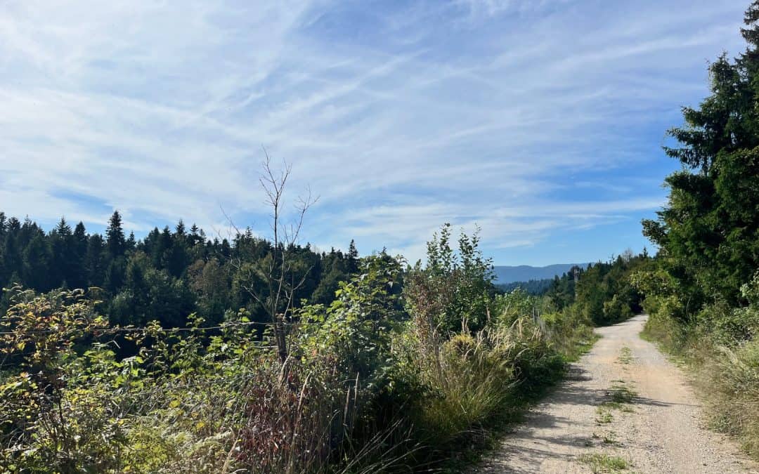Mit dem Rad nach Kroatien Tag 3 – Berge und ein Held