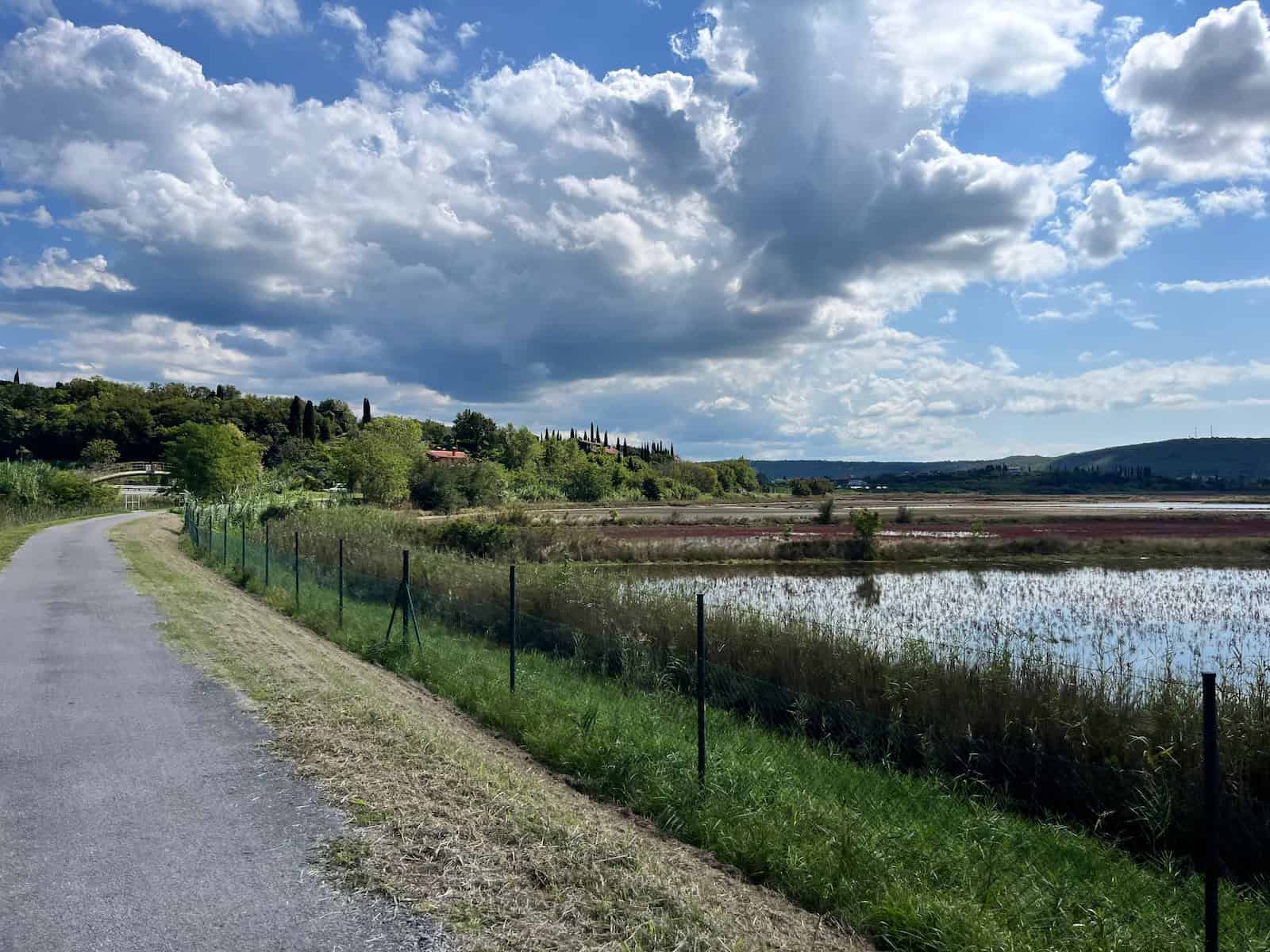 #45_Kroatien 2Quer1P - 3 von 3 Weiter Blick über die Adria bei Umag auf der Fahrradreise nach Kroatien